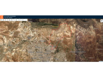 3BAY OKTAY SAĞLAMCI'DAN KİLİS HELVACIOĞLU'NDA YOL ÜSTÜ ZEYTİNLİK