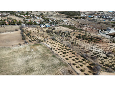 3BAY OKTAY SAĞLAMCI'DAN DIMIŞKILI'DA MUHTEŞEM TARLA