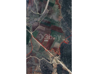 ŞEHİTKAMİL ÜLKERLİ’DE BÜYÜK METRAJLI YATIRIMLIK TARLA